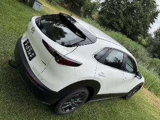 Mazda CX-30 2.5 Hybrid picture 35