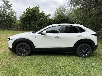 Mazda CX-30 2.5 Hybrid picture 31