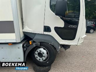 Volvo FL 280 4x2 Koelwagen Laadklep Dag/Nacht Euro 6 picture 11