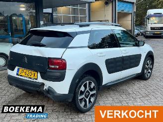 Citroën C4 cactus 1.2 PureTech Shine Virtual Navi Climate Cruise PDC picture 2