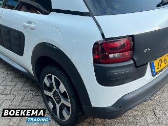 Citroën C4 cactus 1.2 PureTech Shine Virtual Navi Climate Cruise PDC picture 6