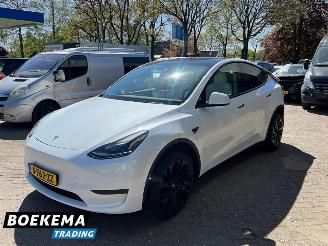 Tesla Model Y RWD 58 kWh FSD Computer 3 picture 4