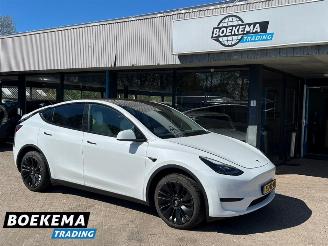 skadebil auto Tesla Model Y RWD 58 kWh FSD Computer 3 2023/6