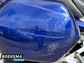 Yamaha FJR 1300 1300A ABS picture 16