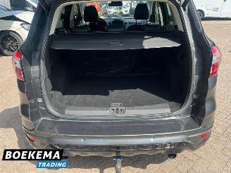 Ford Kuga 1.5 EcoBoost Vignale 180PK Stoel- en stuur verwarming Memory Navi picture 21