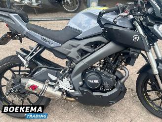 Yamaha  MT-125 ABS picture 6