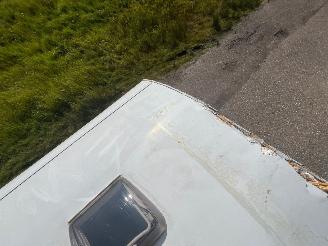 Fiat Camper Capron A461 Airco picture 60