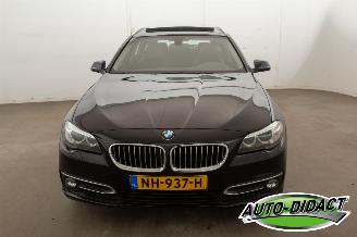 BMW 5-serie 520i Automaat Pano Leder Clima Luxury Edition picture 33