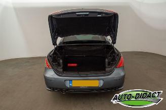 Peugeot 307 CC 2.0-16V Automaat Clima Motorschade picture 29