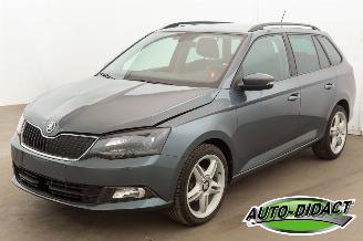 škoda osobní automobily Skoda Fabia 1.0 TSI Clima Navi 120.179 km 2018/4
