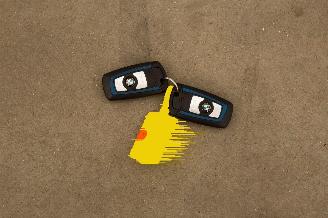 BMW 4-serie 430i Automaat 94.128 km Clima Navi Leder High Executive Edition picture 29