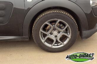 Citroën C4 cactus 1.6 BlueHDi Navi Clima Camera Business Plus picture 32