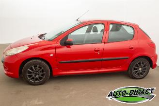 Peugeot 206 1.1 XR picture 28