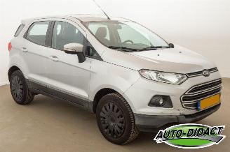 Ford EcoSport 1.0 EcoBoost Trend picture 2