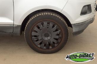 Ford EcoSport 1.0 EcoBoost Trend picture 28