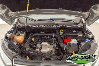 Ford EcoSport 1.0 EcoBoost Trend picture 19