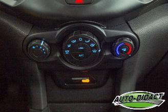 Ford EcoSport 1.0 EcoBoost Trend picture 11