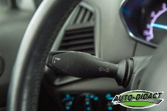 Ford EcoSport 1.0 EcoBoost Trend picture 13