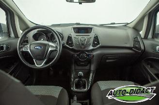 Ford EcoSport 1.0 EcoBoost Trend picture 5