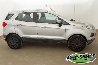 Ford EcoSport 1.0 EcoBoost Trend picture 36