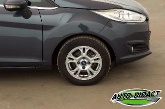 Ford Fiesta 1.6 TDCi Clima Lease Titanium picture 33