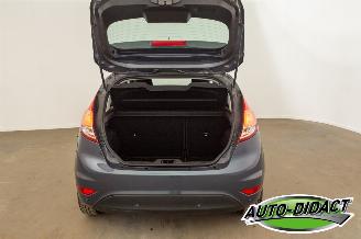 Ford Fiesta 1.6 TDCi Clima Lease Titanium picture 37