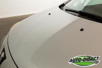 Peugeot 307 2.0-16V Clima Leder picture 26