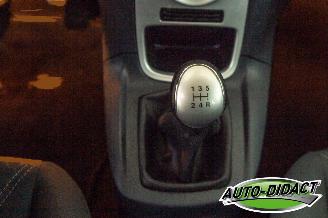 Ford Fiesta 1.25 Clima Titanium picture 11