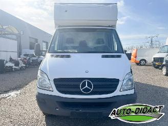 Mercedes Sprinter 513 CDI Laadklep Marge auto picture 32
