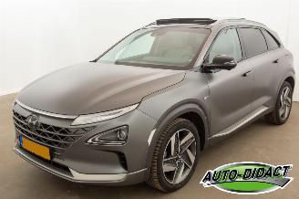 Avarii autoturisme Hyundai Nexo FCEV Plus Pack 2019/7