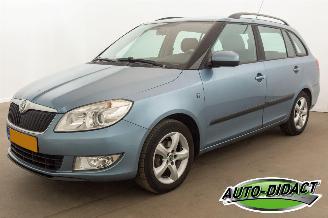 Avarii autoturisme Skoda Fabia 1.2 TDI Airco Greenline 2010/9