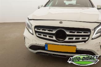 Mercedes GLA 180 Automaat Clima Navi Camera Business Solution Limited picture 31