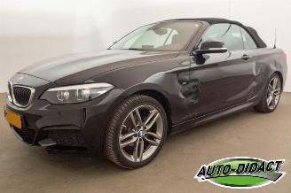 BMW 2-serie 218i Automaat Navi Camera Leder Clima picture 5