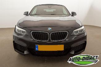BMW 2-serie 218i Automaat Navi Camera Leder Clima picture 41