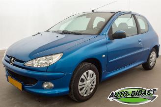 Coche accidentado Peugeot 206 1.4 Forever 2007/7