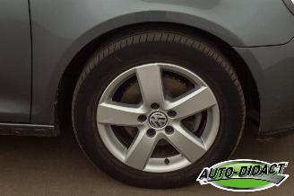 Volkswagen Golf 1.6 TDI Clima Navi Trendline picture 35