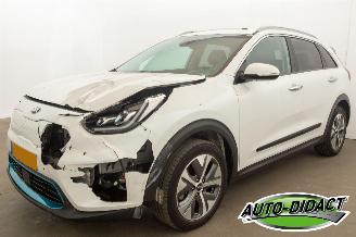 Unfallwagen Kia e-Niro 64 kWh 87.608 km NAP Navi Clima Camera Leder ExecutiveLine 2021/7