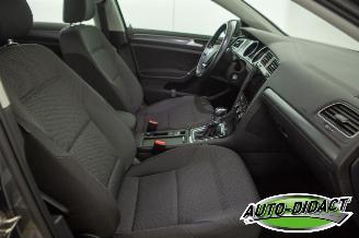 Volkswagen e-Golf 36 kWh Navi Camera Clima picture 20