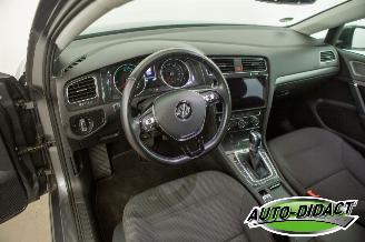 Volkswagen e-Golf 36 kWh Navi Camera Clima picture 24