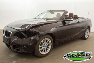 Unfallwagen BMW 2-serie Cabrio 218i Navi Leder Airco 2015/7