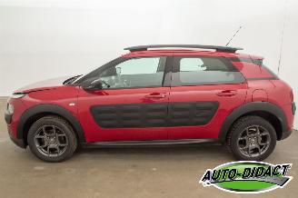Citroën C4 cactus 1.2 60kW Navi Camera 106.166 km Feel picture 34