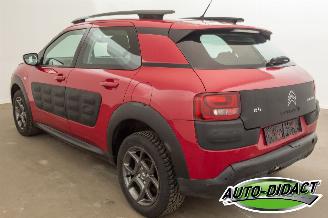 Citroën C4 cactus 1.2 60kW Navi Camera 106.166 km Feel picture 3