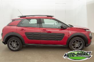 Citroën C4 cactus 1.2 60kW Navi Camera 106.166 km Feel picture 35