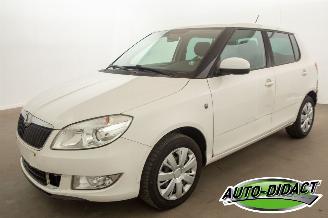 Skoda Fabia Automaat - Airco - 1.2 picture 1