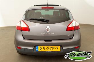 Renault Mégane 1.4 TCe Open Pano Clima Bose picture 35