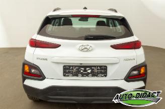Hyundai Kona 1.0 Clima Camera 93.418 km picture 33