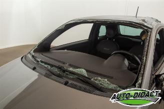 Fiat 500C 1.2 Lounge Pano Airco picture 28