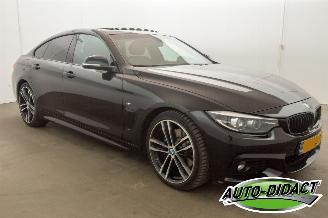 BMW 4-serie 420i Automaat Elek Dak High Executive picture 2