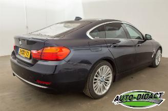 BMW 4-serie 420 i Gran Coupe High Executive picture 5