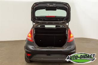 Ford Fiesta 1.6 TDCi Clima ECOnetic Trend picture 29